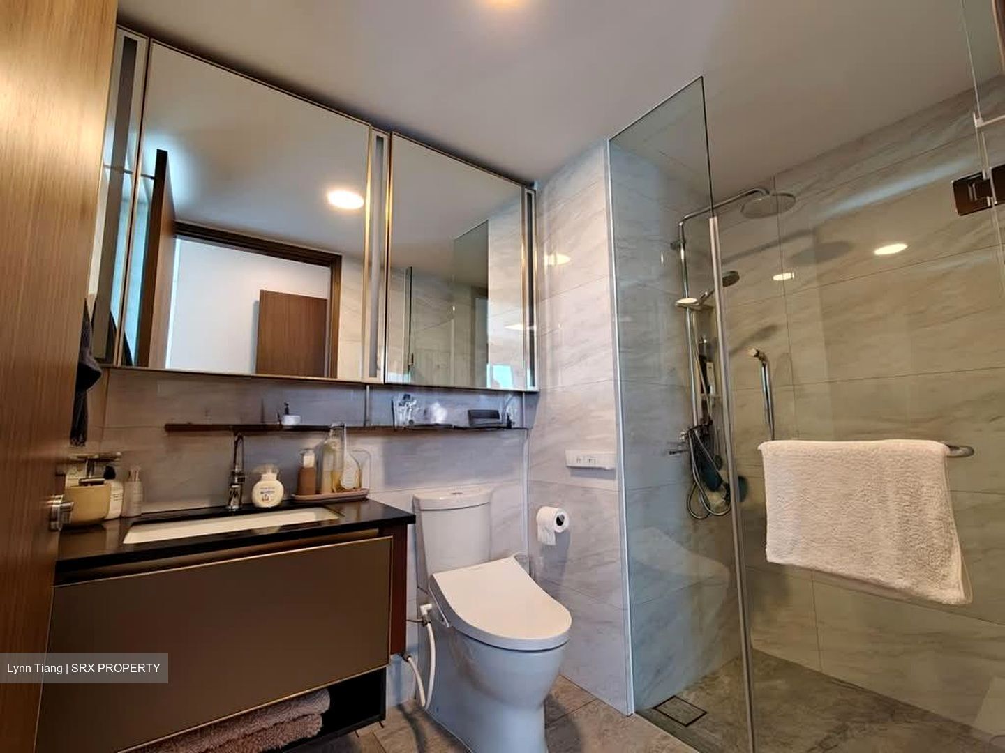 Normanton Park (D5), Apartment #531067121